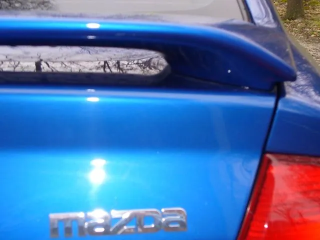 Trunk1 002.jpg