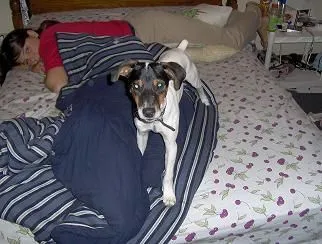 turboonbed.JPG