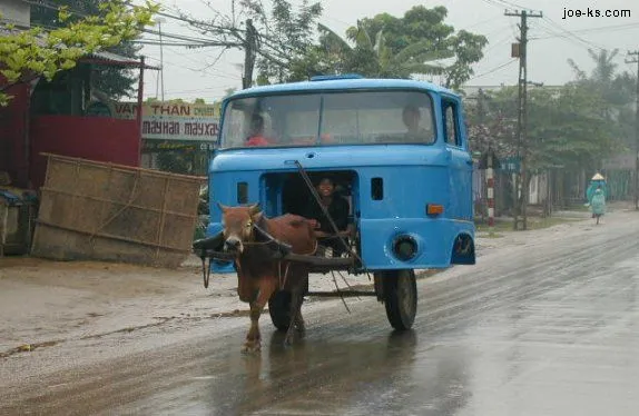 VietnamHorsepower.jpg