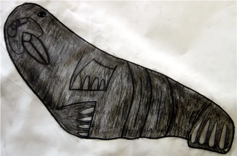 walrus2.webp