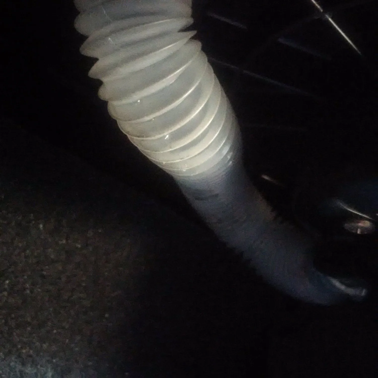 Water dripping from here.jpg