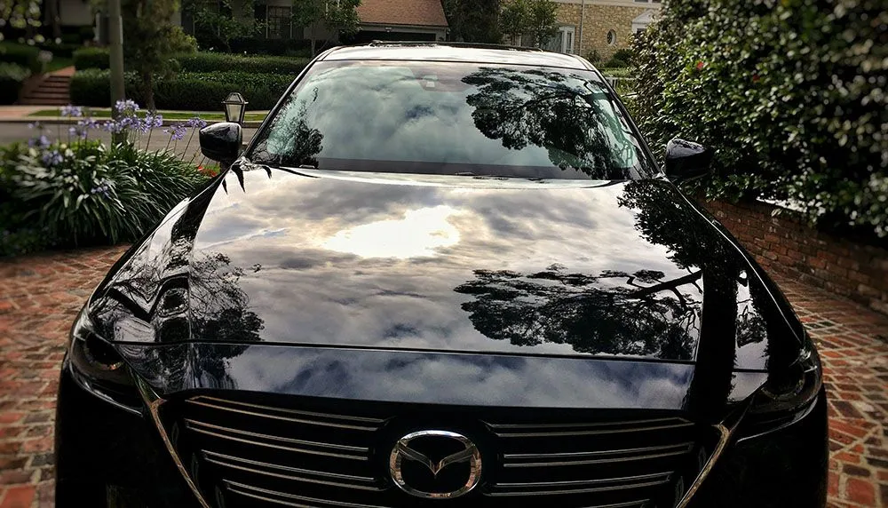 waxed.jpg