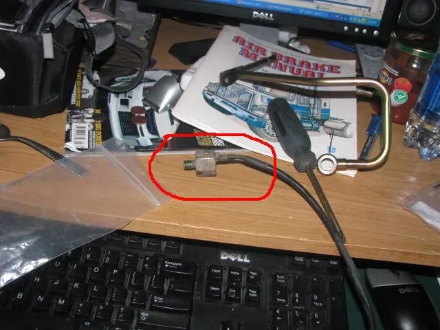 wf.webp