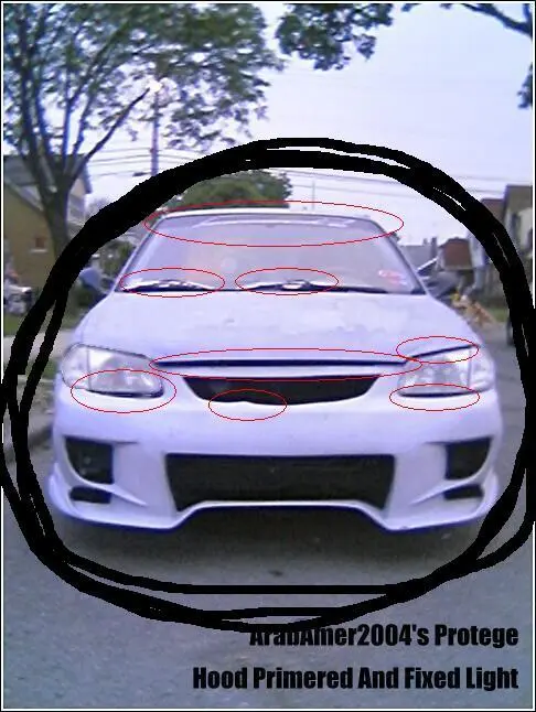 white%20protege.webp