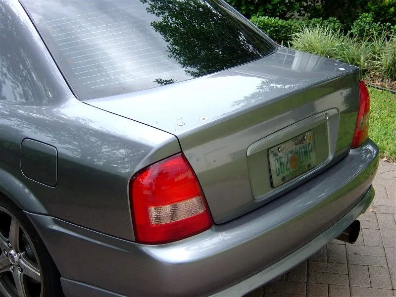 wingless 05.webp