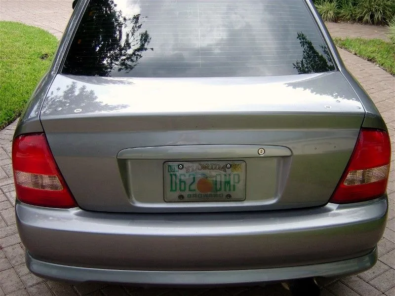 wingless 08.webp