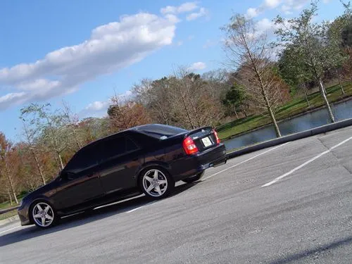 wingless3.jpg