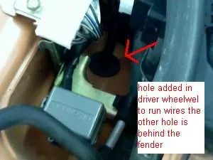 wire.jpg