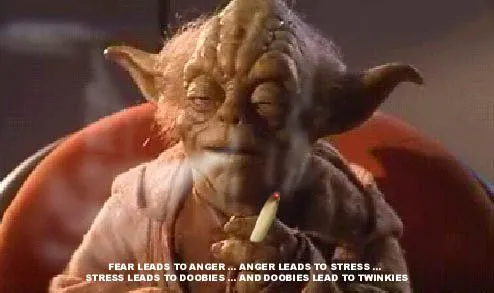 yoda&marijuana.webp