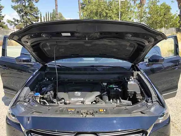 00I0I_96flZWDSyLq_600x450.webp