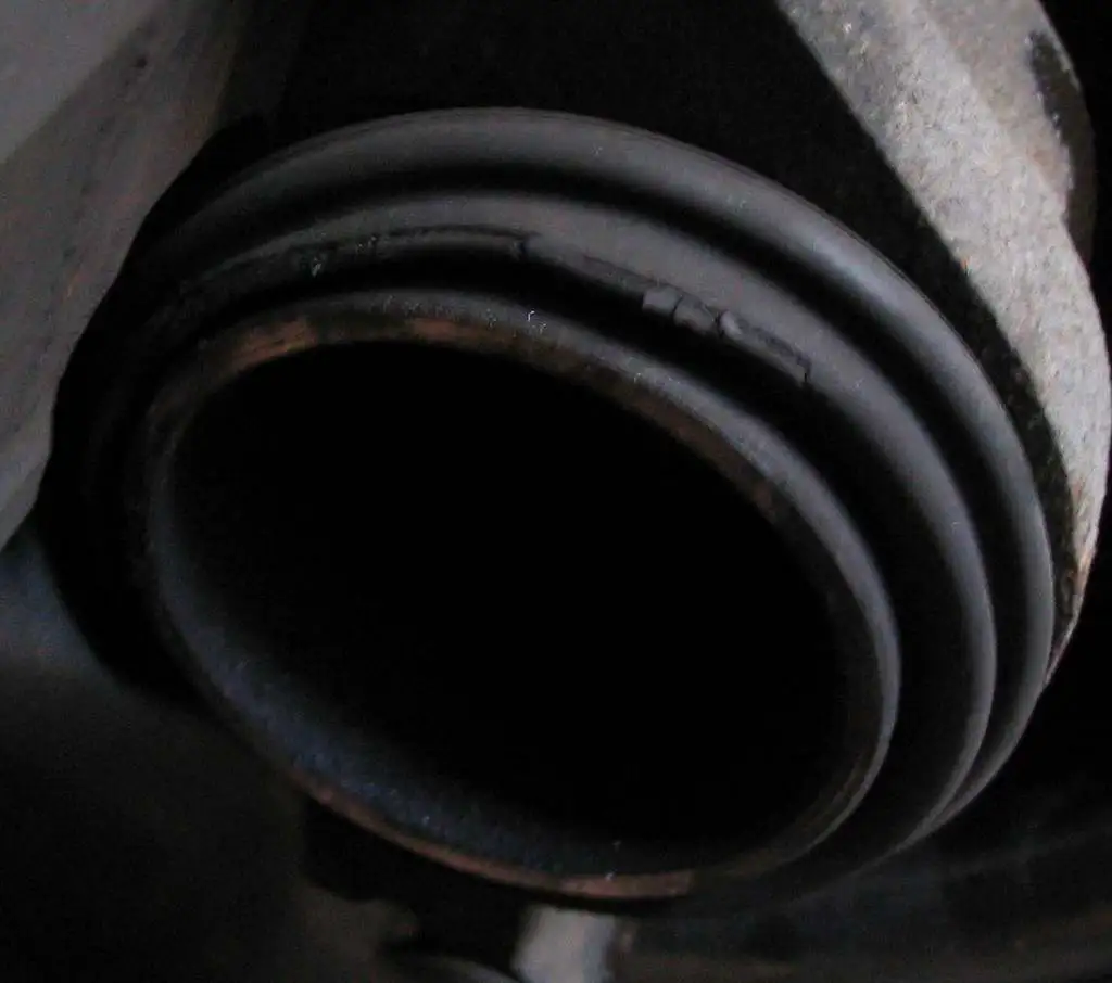 01 Cut Dust Seal.webp