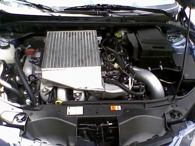 0329081104.jpg