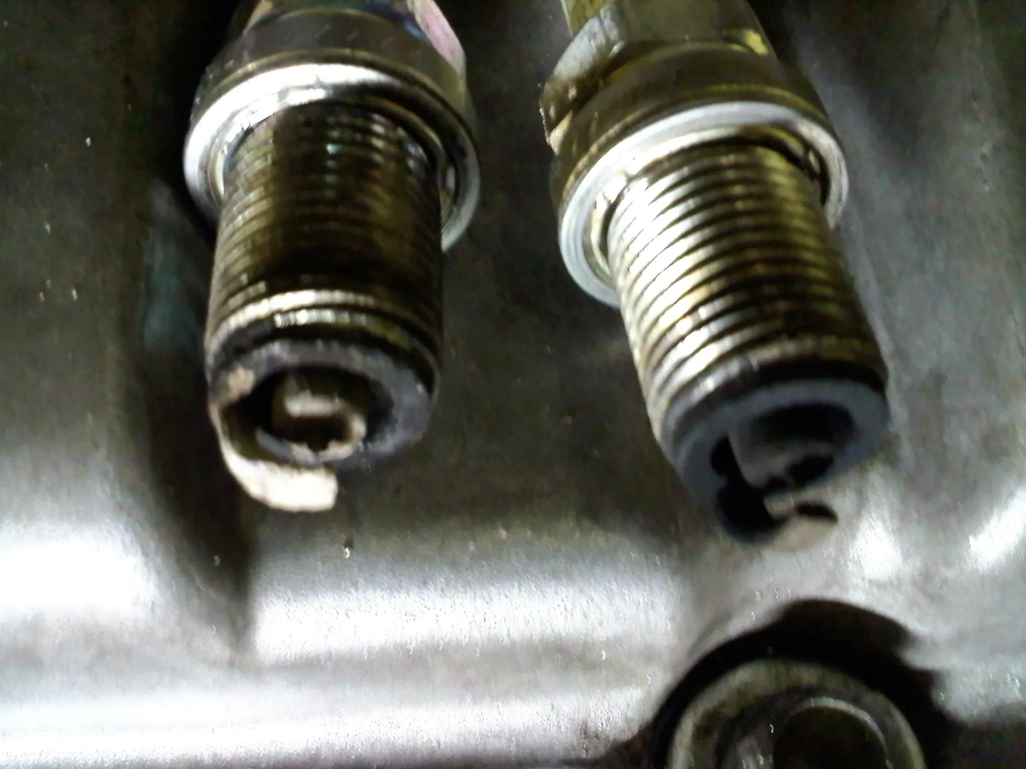 0509020039.jpg