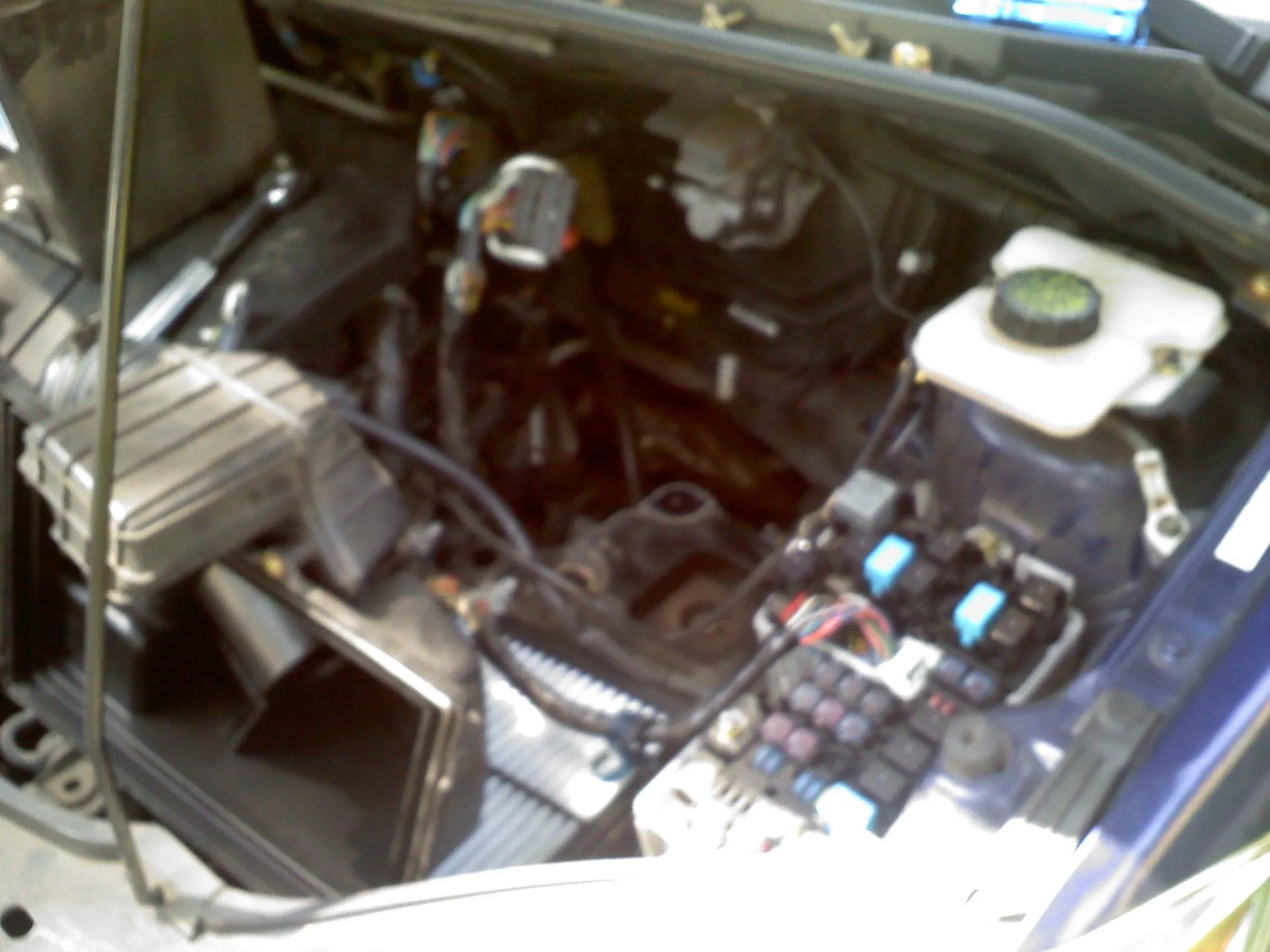 0712091209a.jpg
