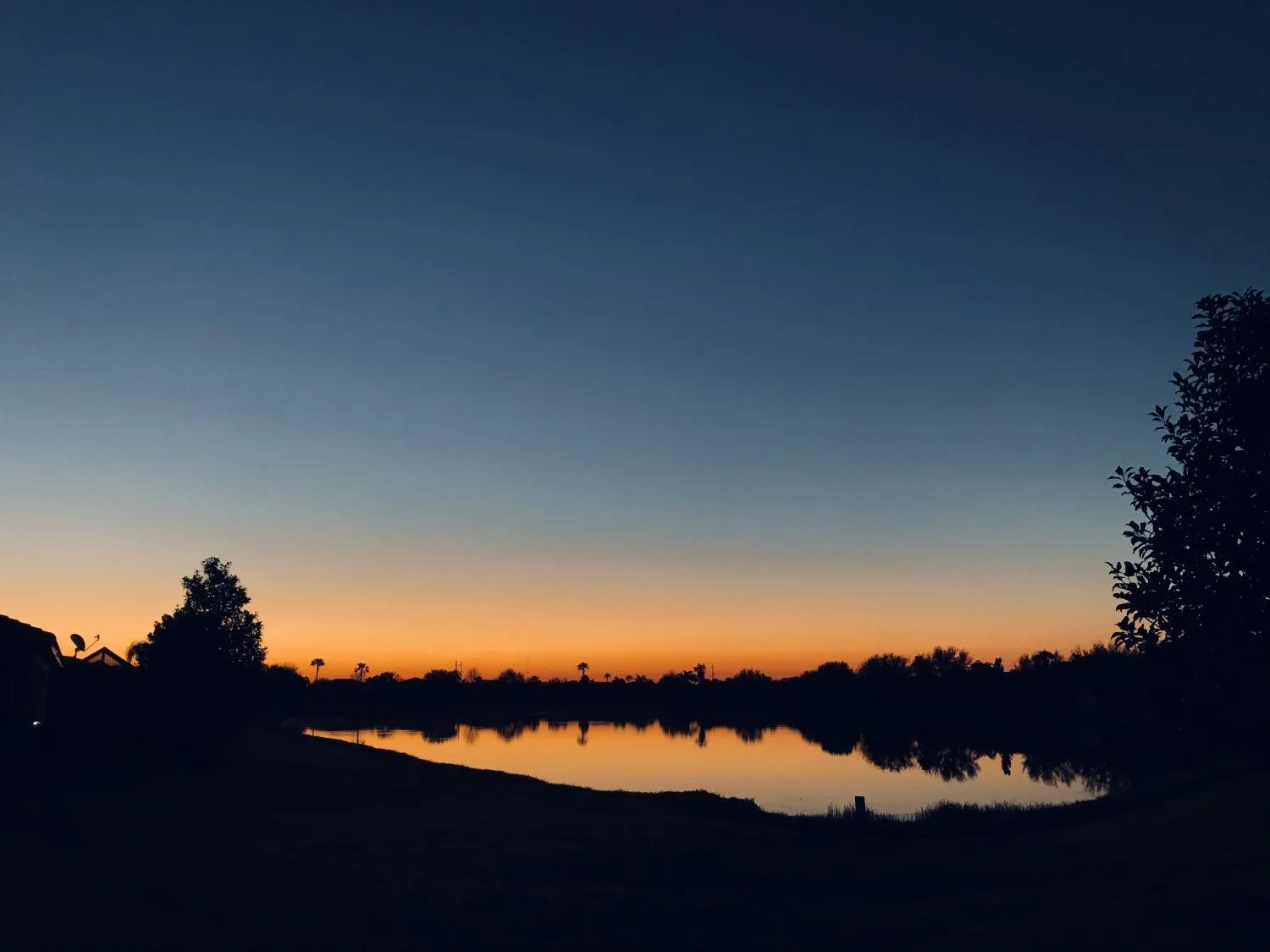 0996D935-AA4D-4835-A3BE-C9659C0AF365.jpeg