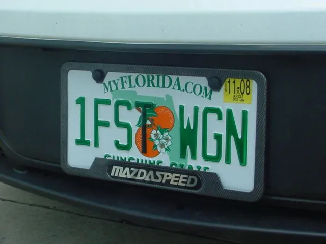 1 FST WGN 06.JPG