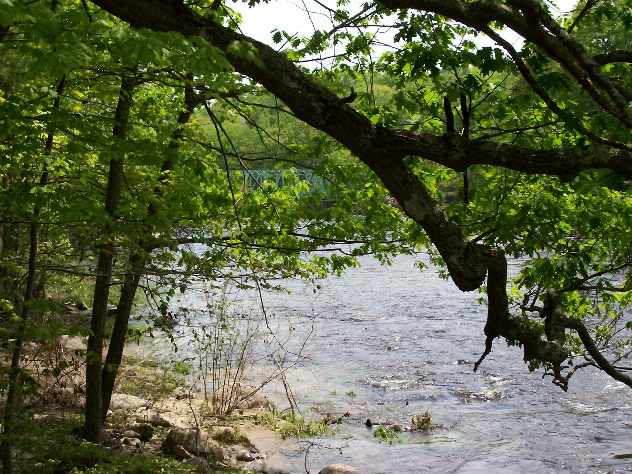100_0222.JPG