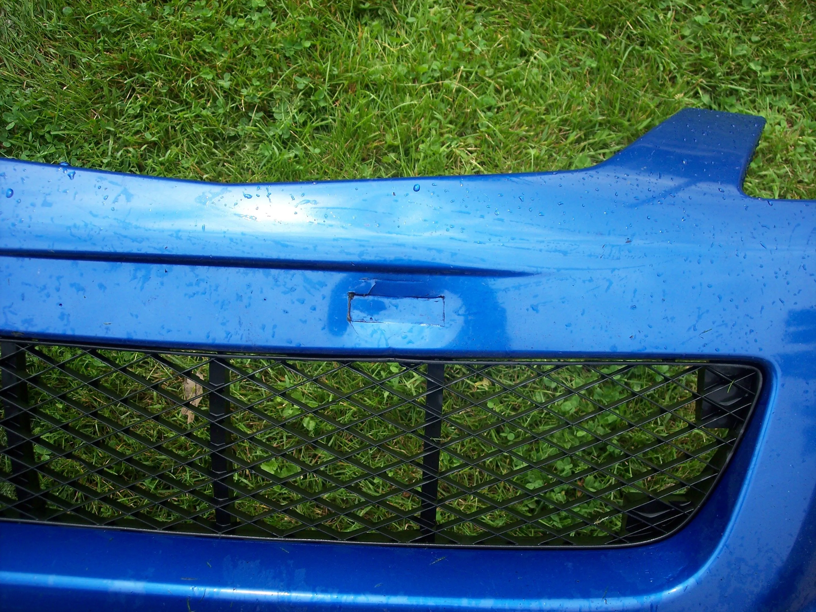 100_0619.jpg
