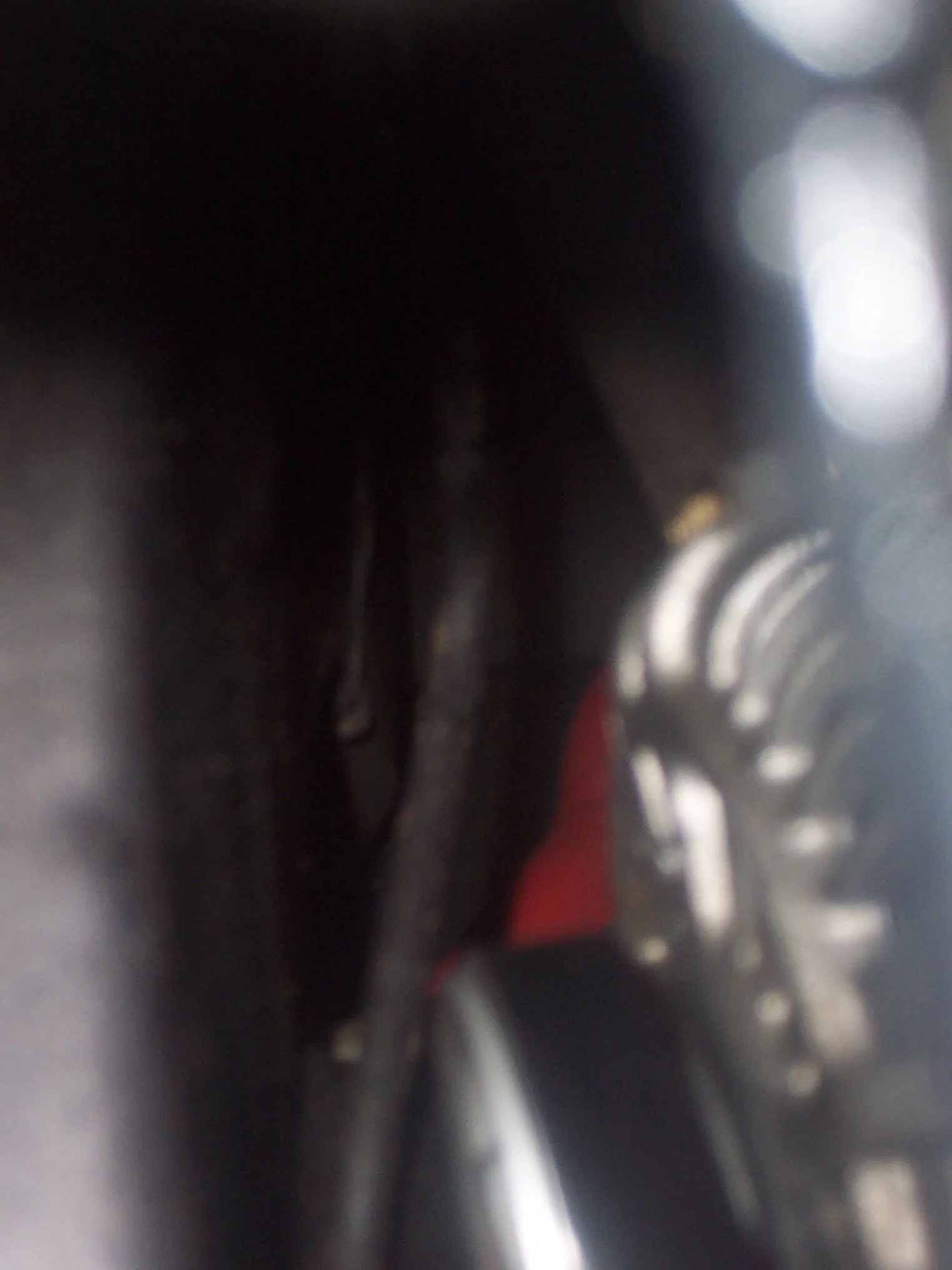 100_3024.JPG