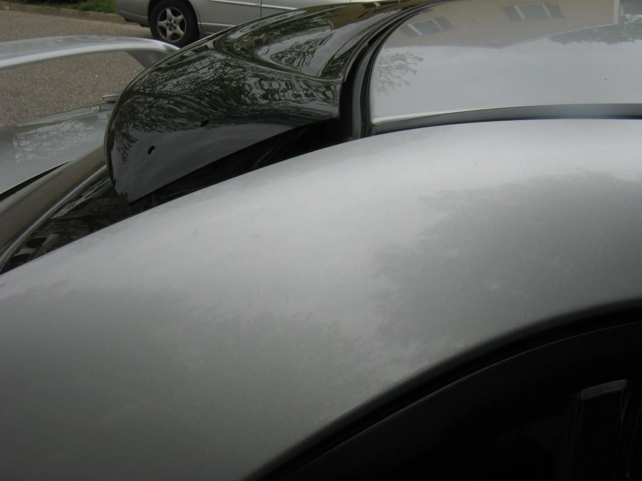 100_4415.webp