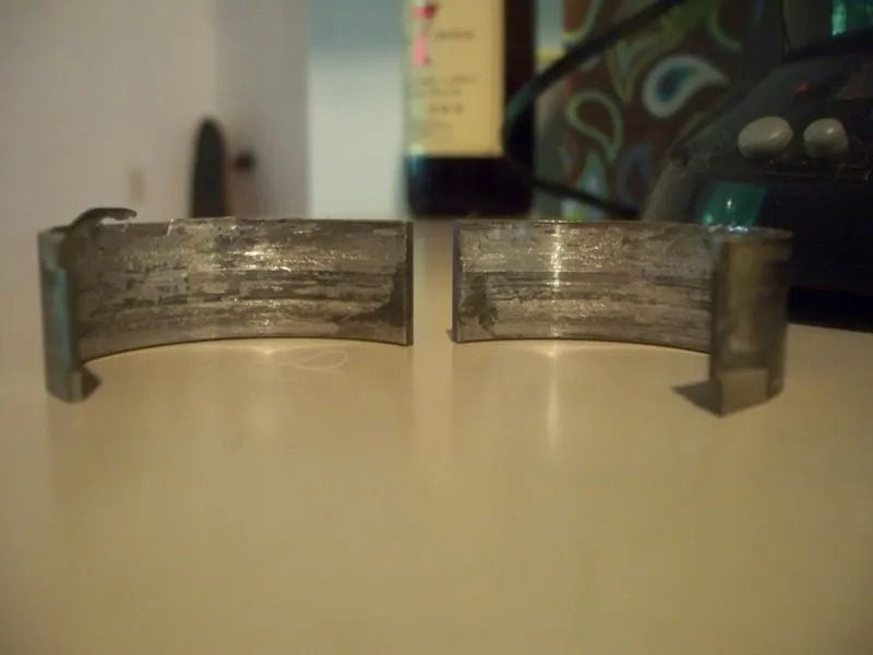 100_6338.JPG