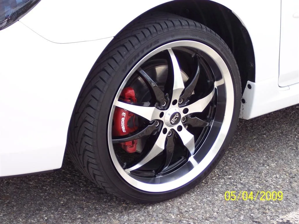 100_7166 (Large).JPG