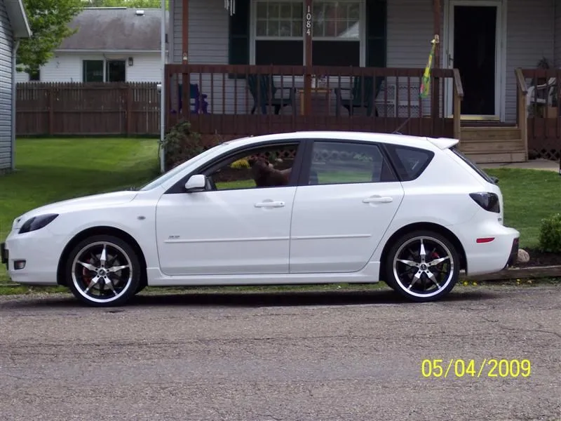 100_7176 (Medium).webp