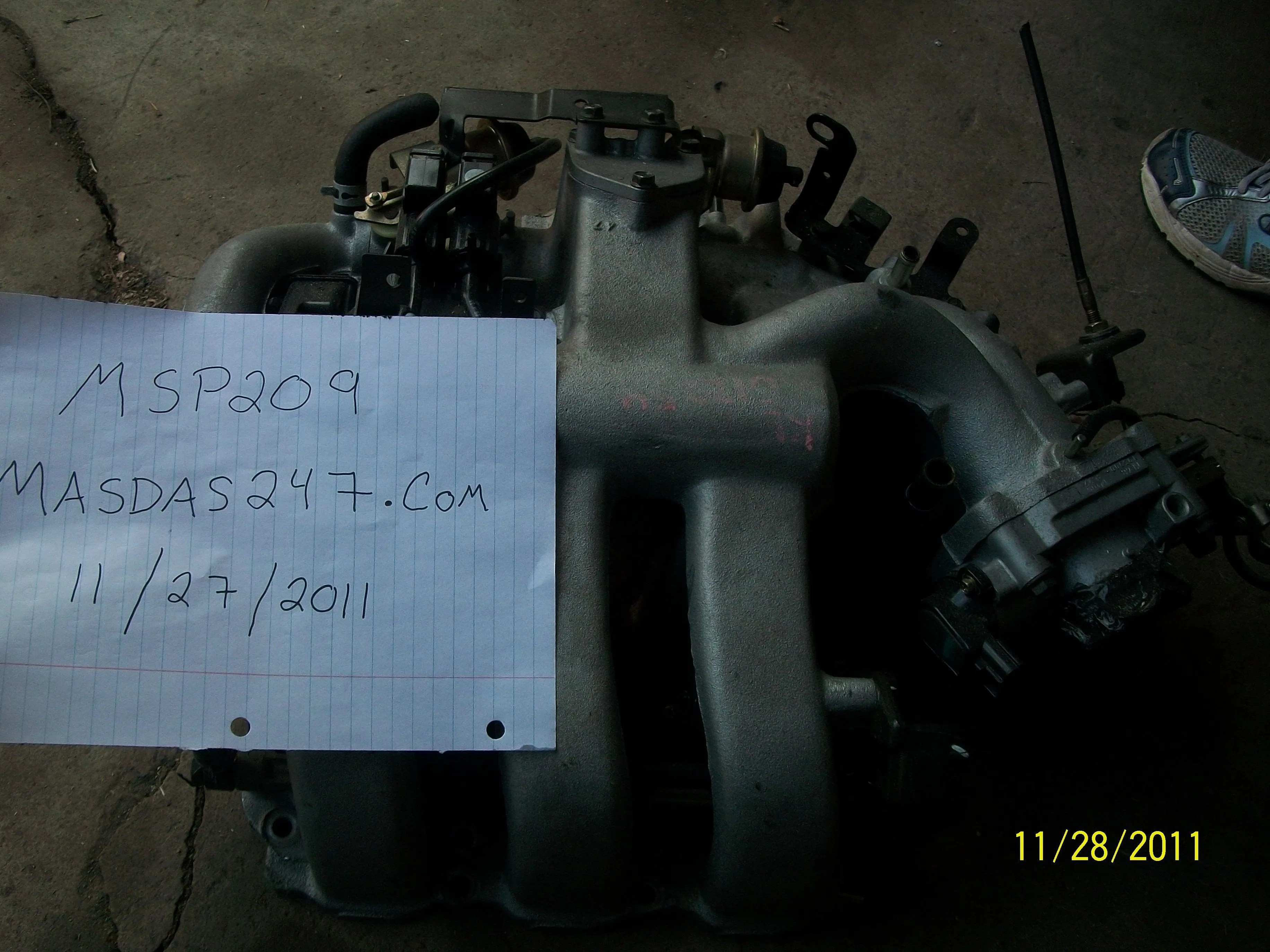 100_7800.webp