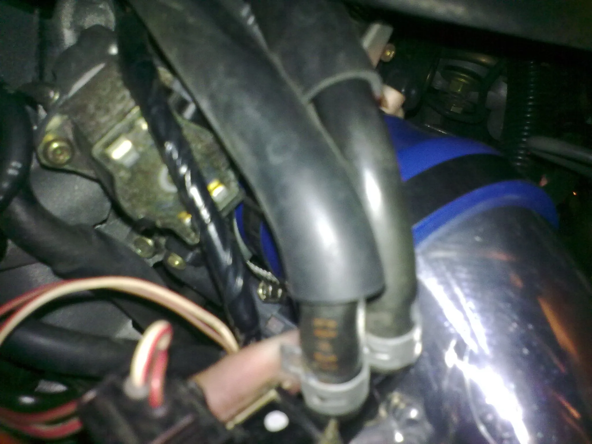 11252010029.jpg