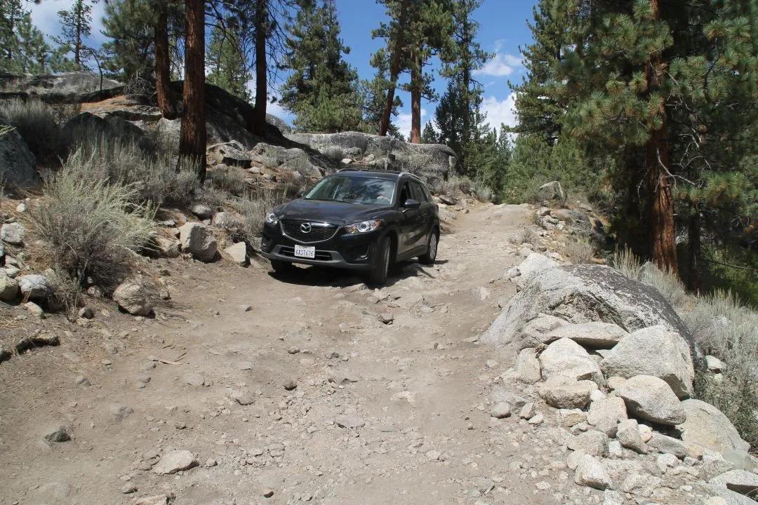 1CAR_FB0006.JPG