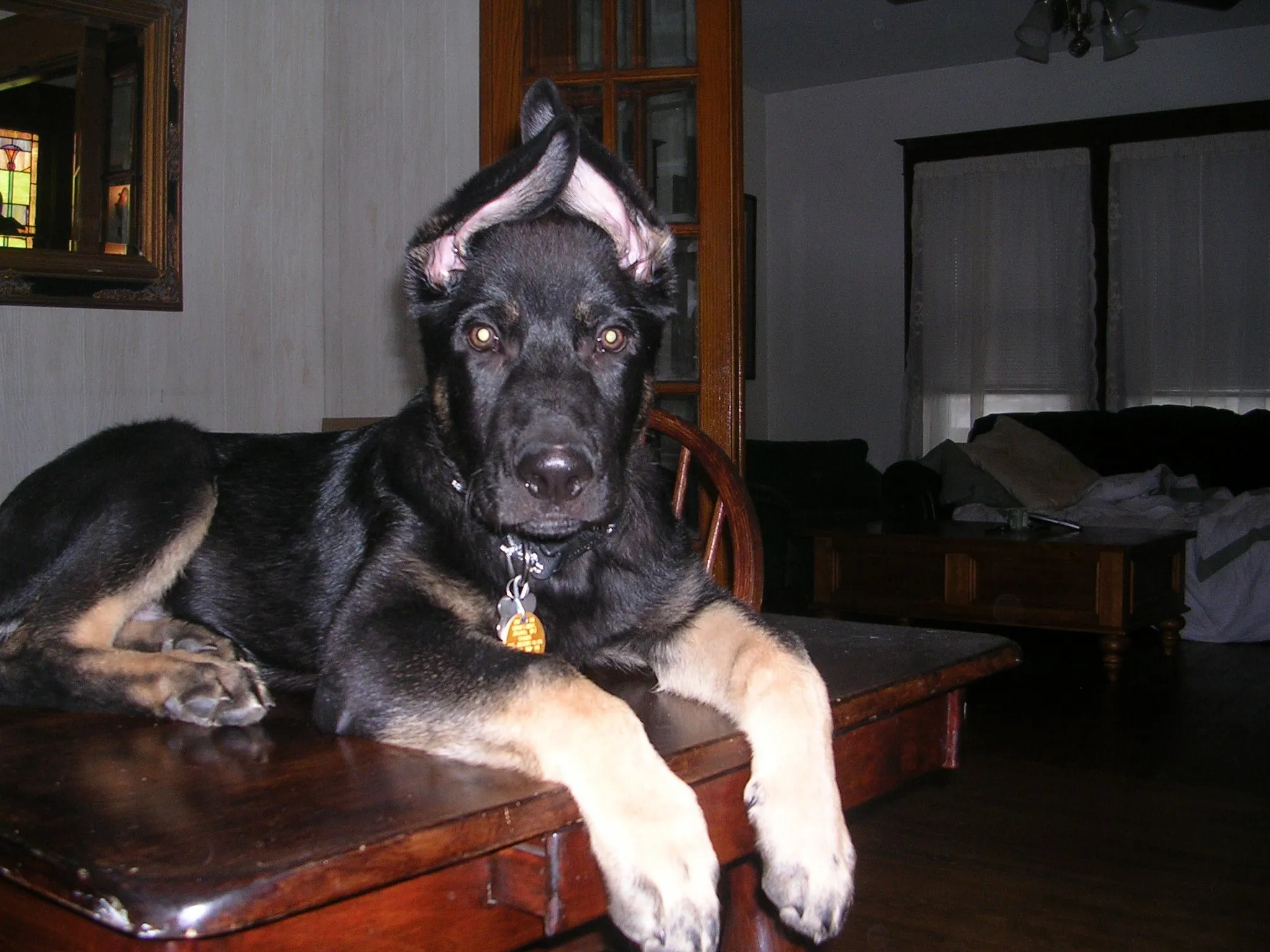 2-03-2010 004.JPG