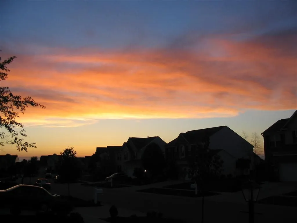 2005-05-XX 009 (Large).webp