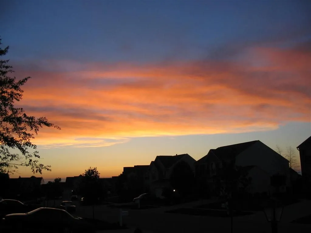 2005-05-XX 011 (Large).webp