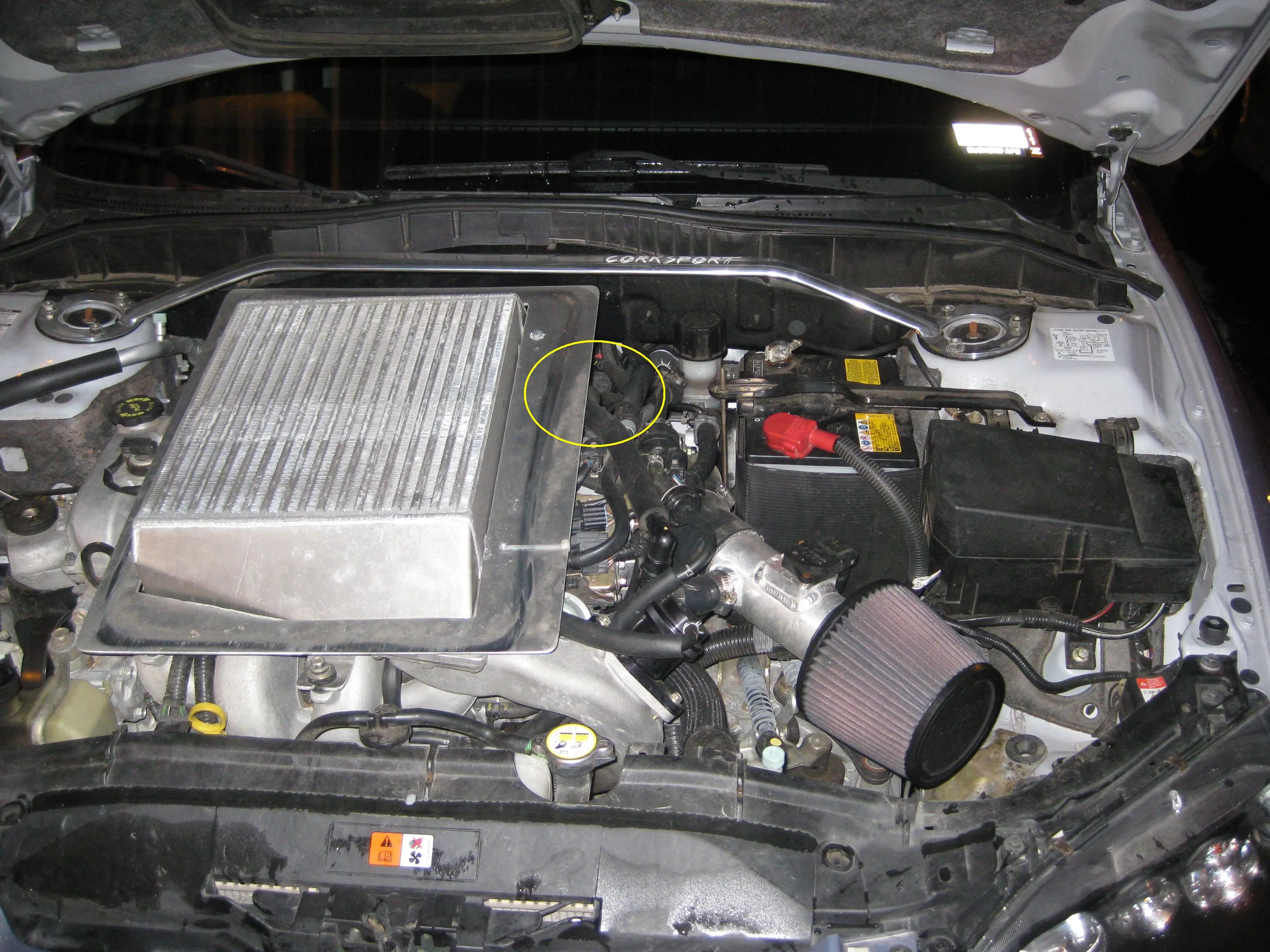 2009-11-7 001r.JPG