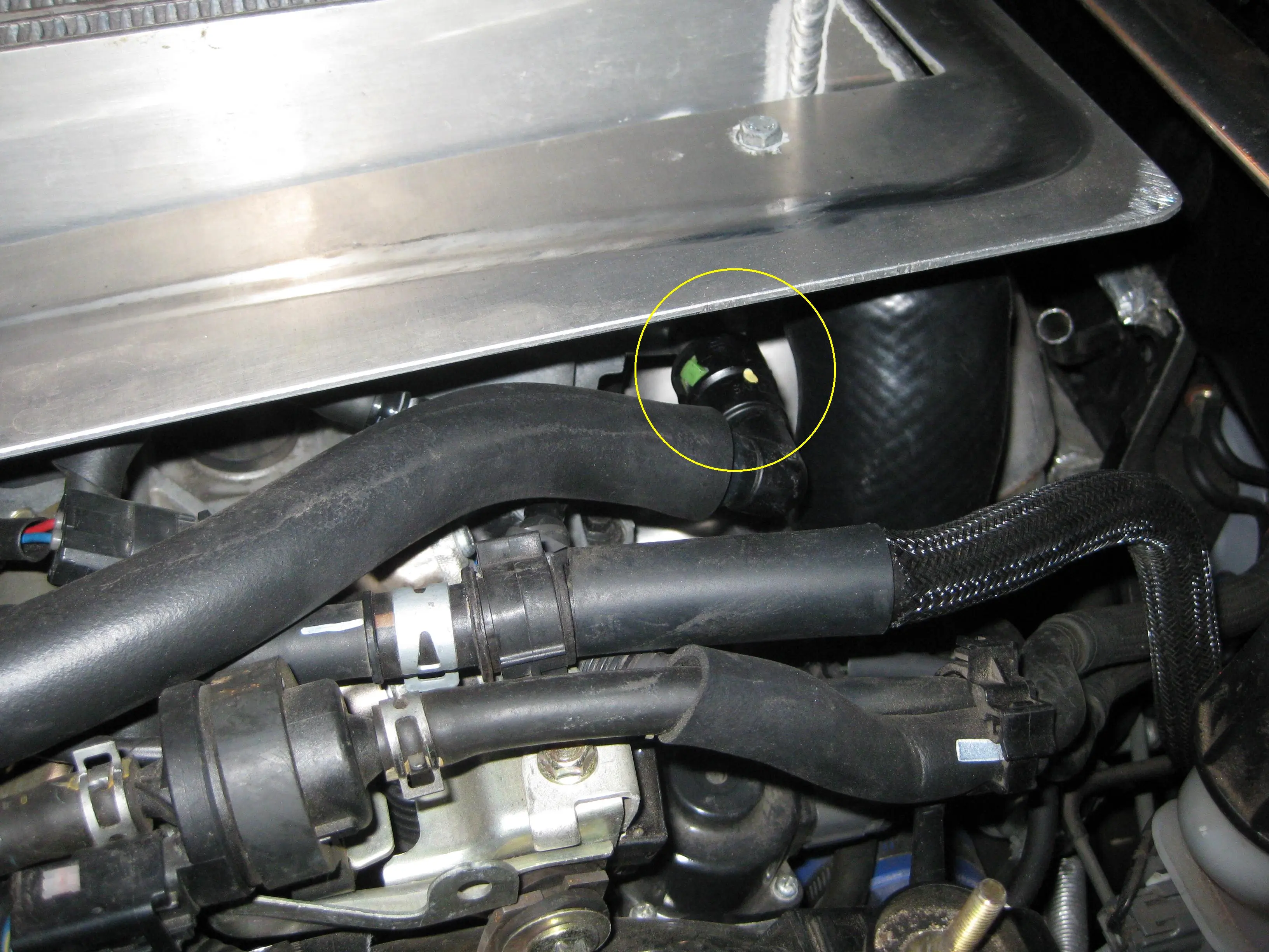 2009-11-7 002r.JPG