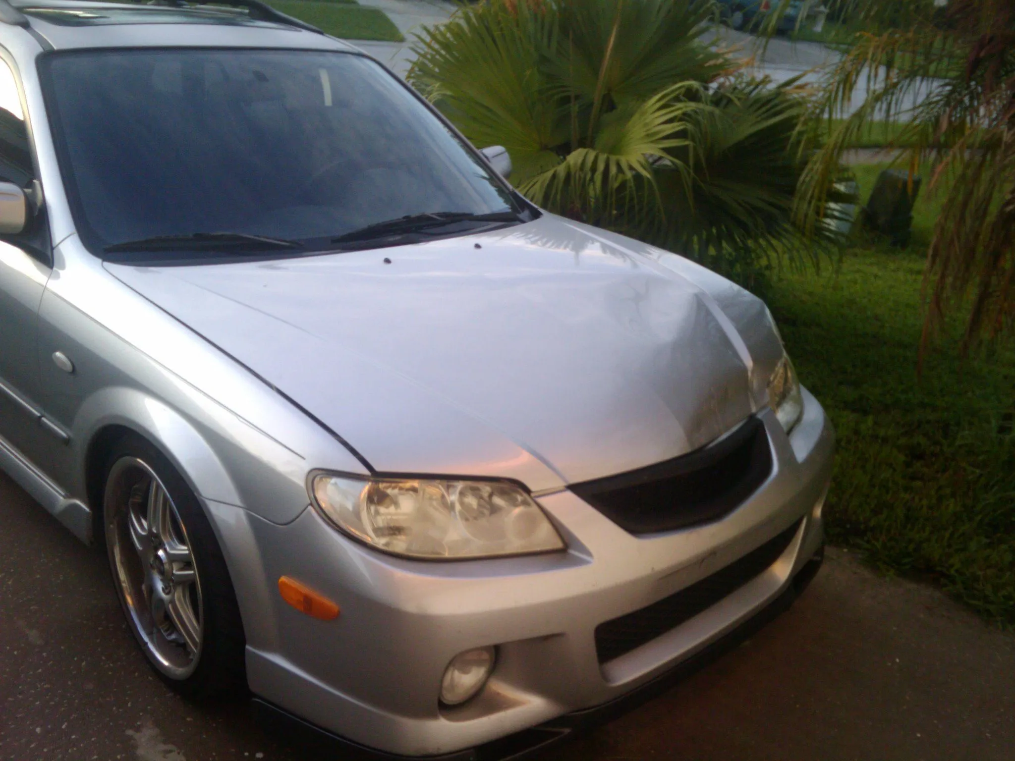 2010-06-20 06.54.49.jpg
