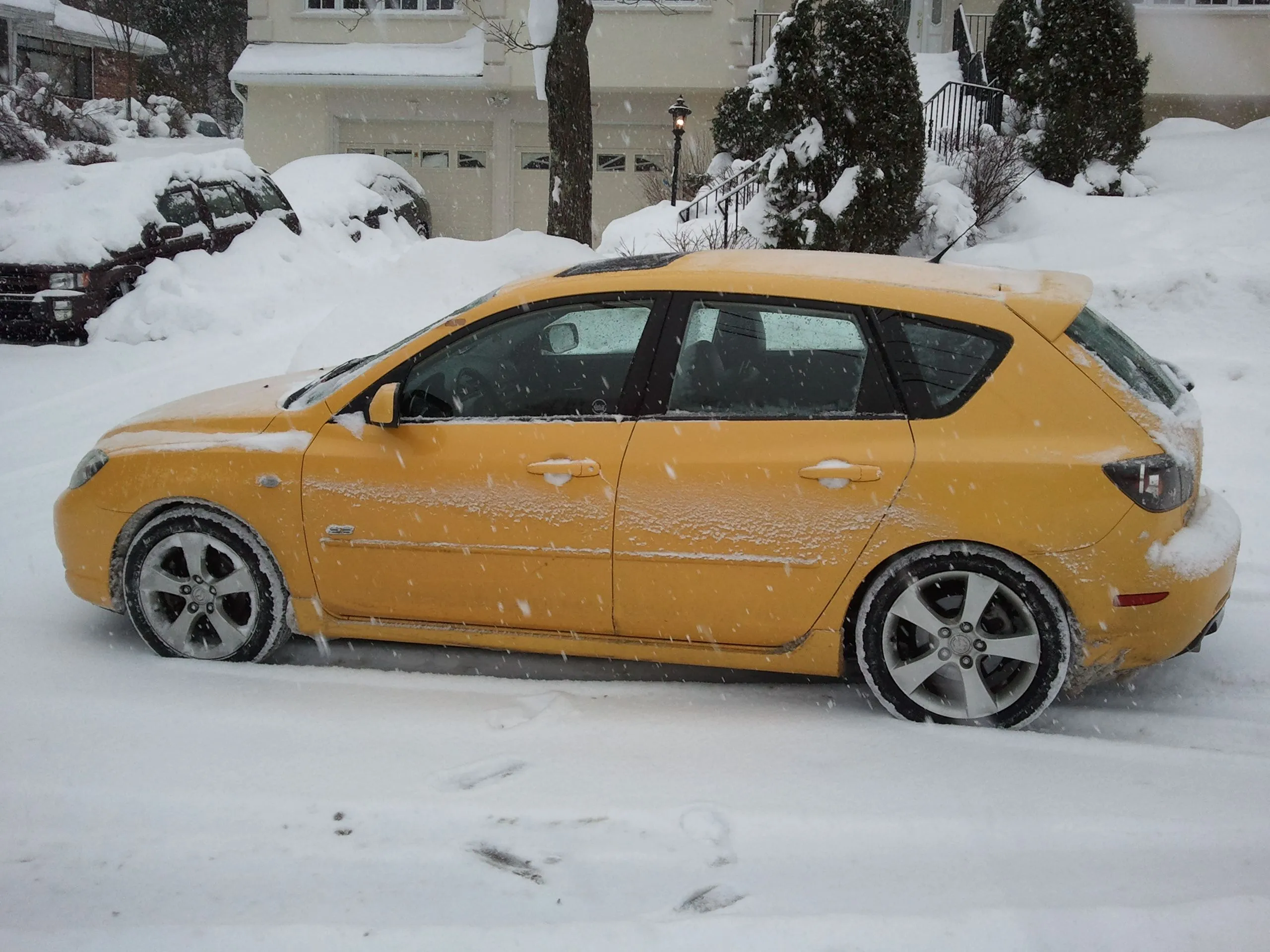 2011-01-18 11.21.25.jpg