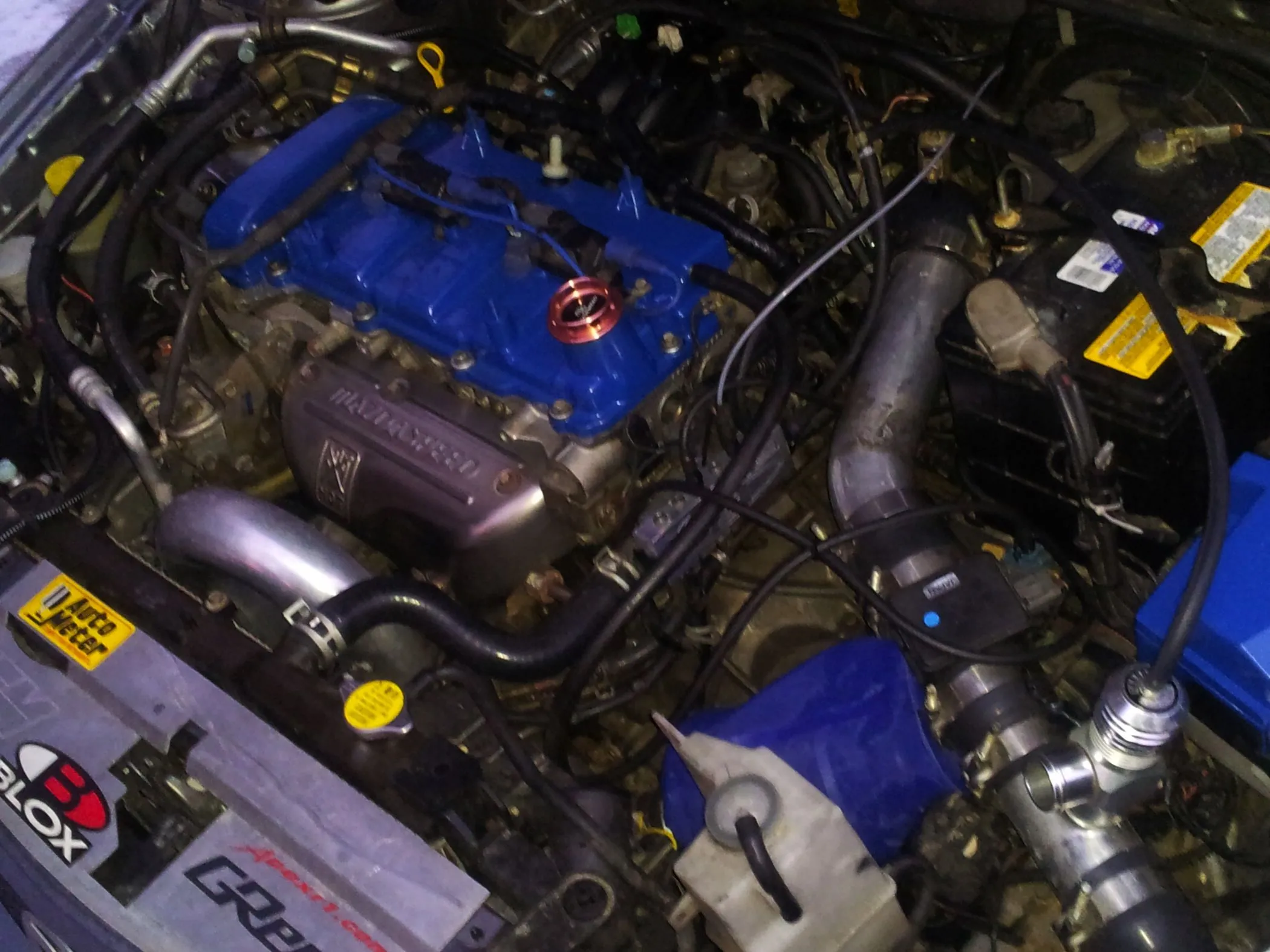 20120203_081024.jpg