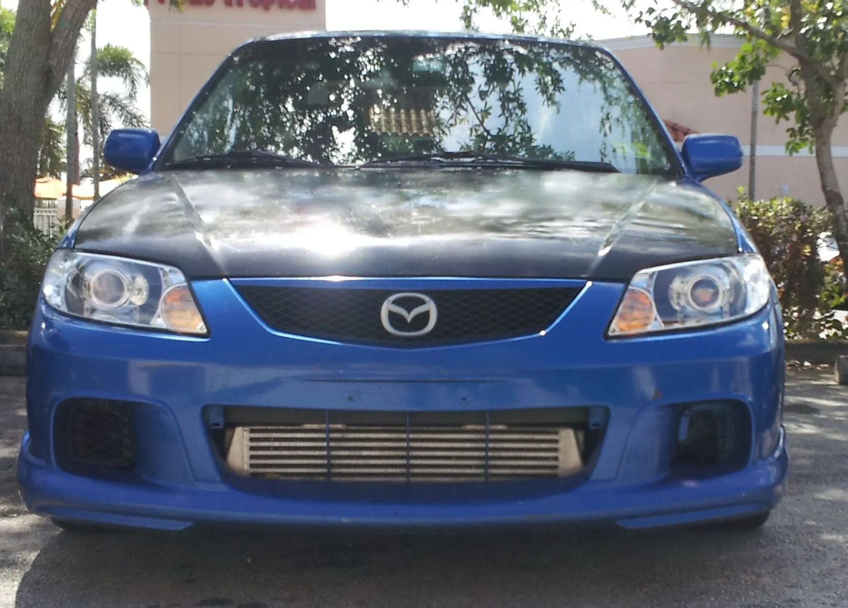 20120312_120801.jpg