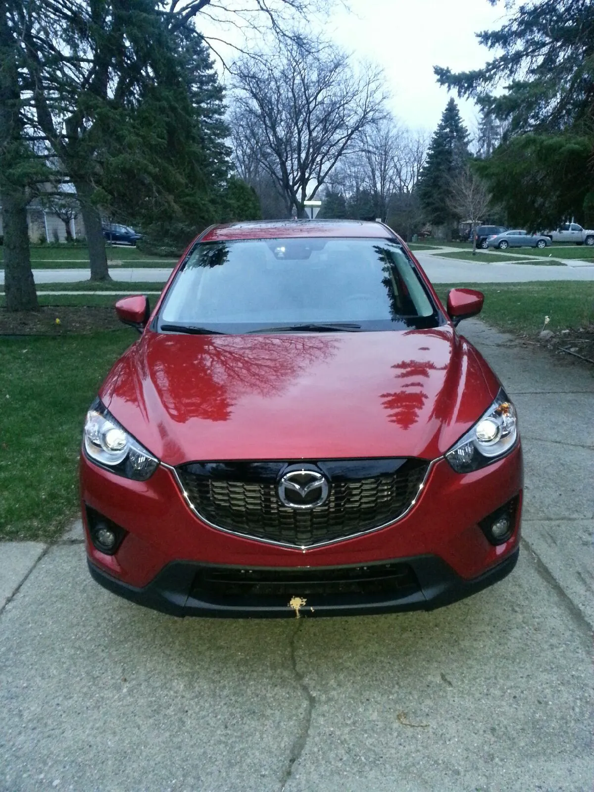 20140426_203319.jpeg