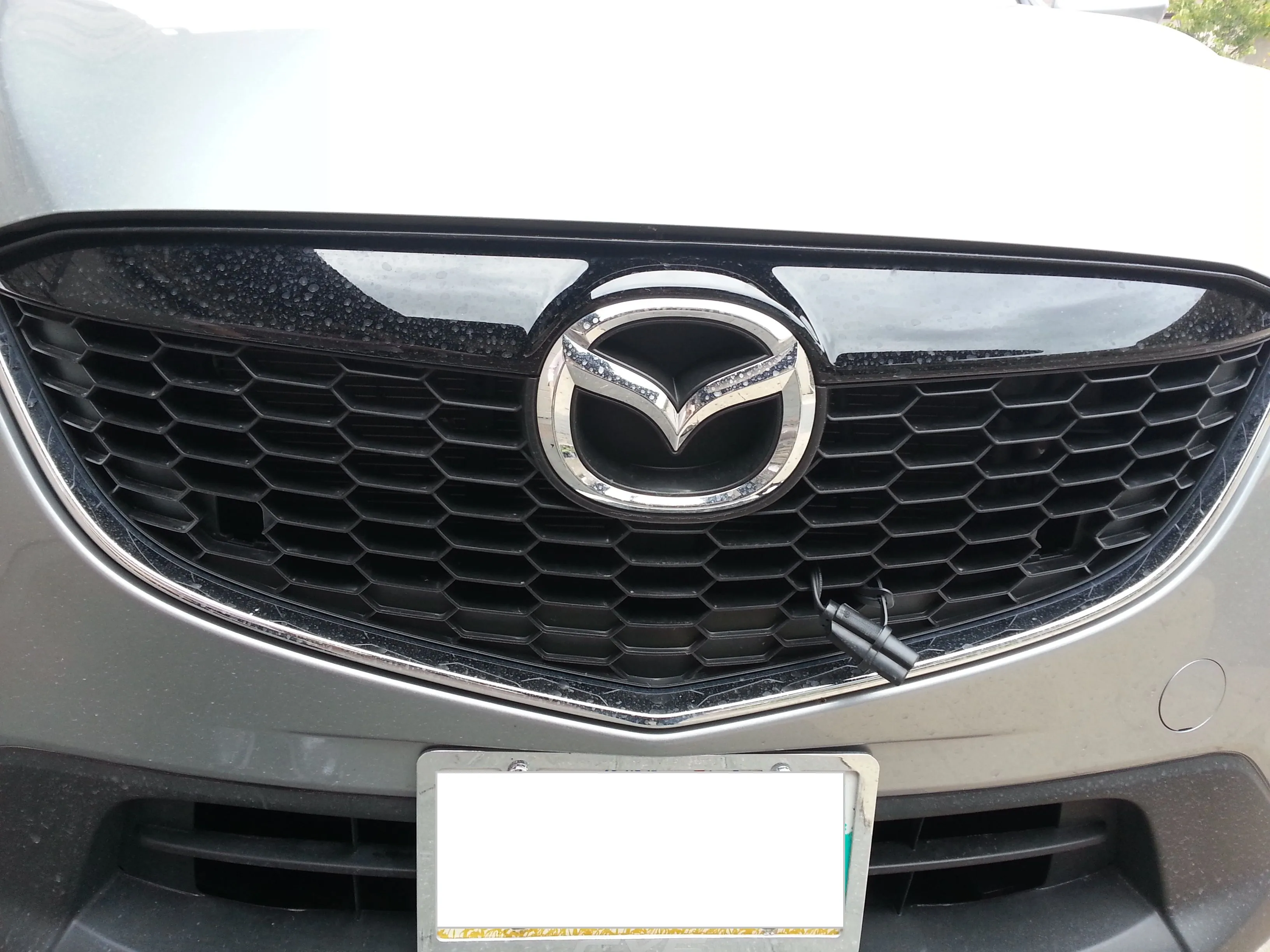 20141001_160010.jpg