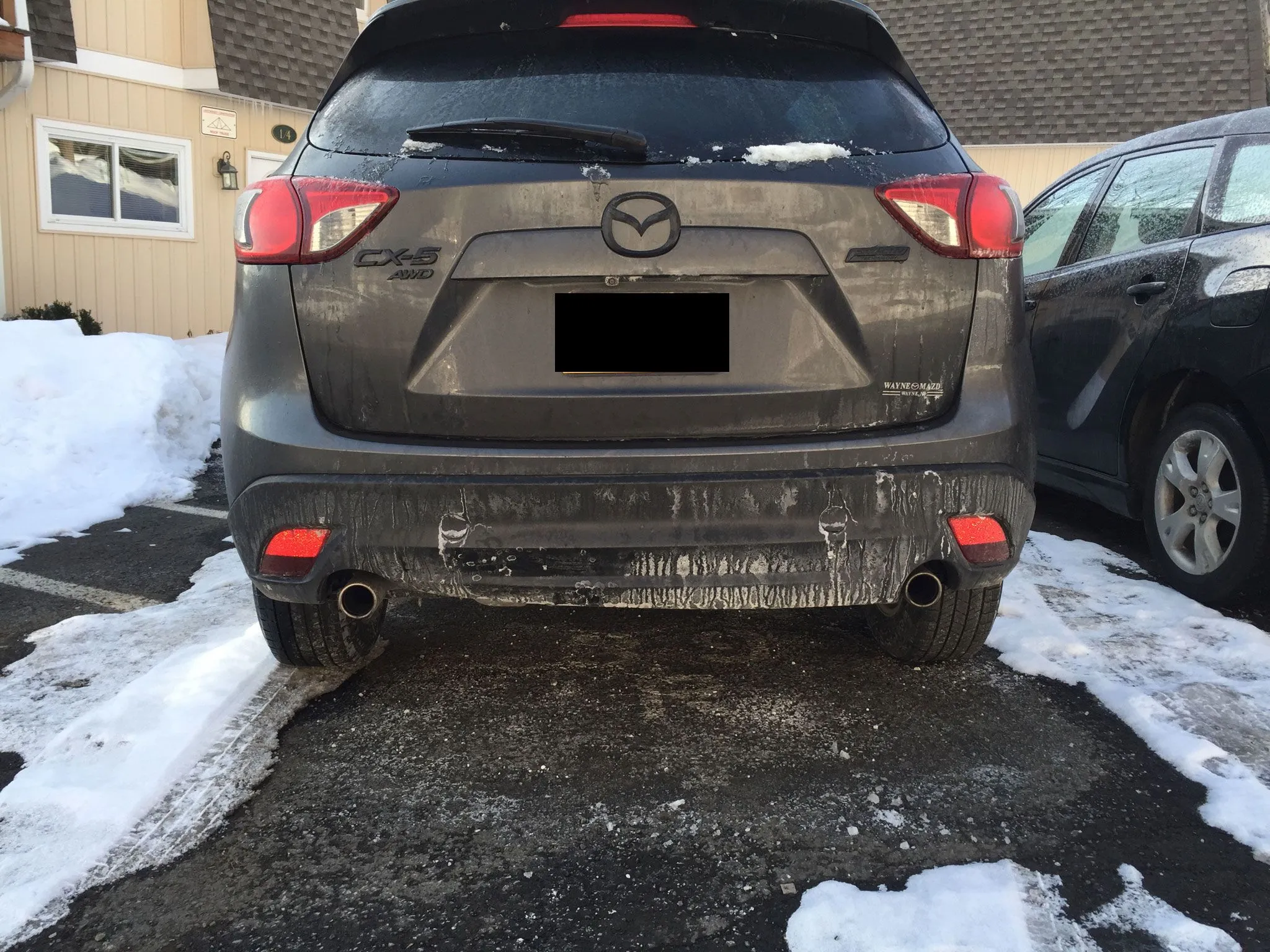 2015-02-18B.jpg