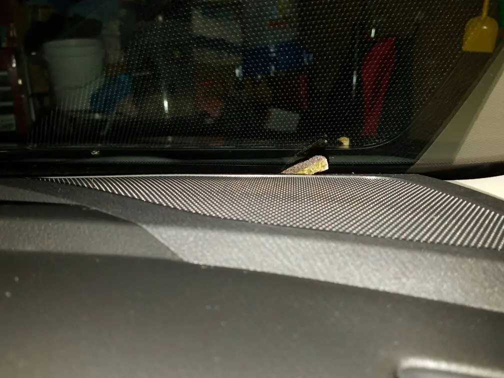 20160912_192634.jpg