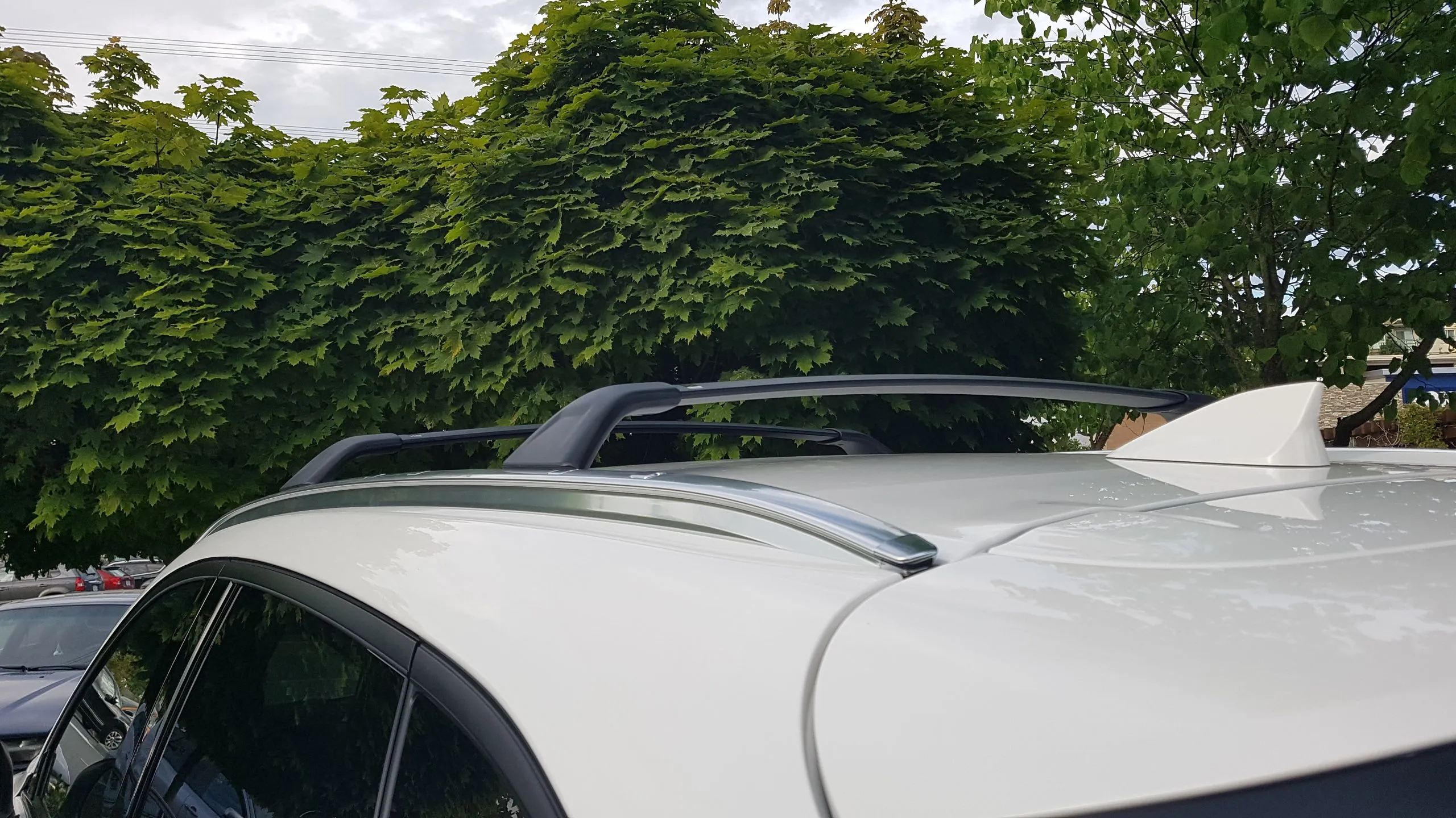 20170726_194206.jpg