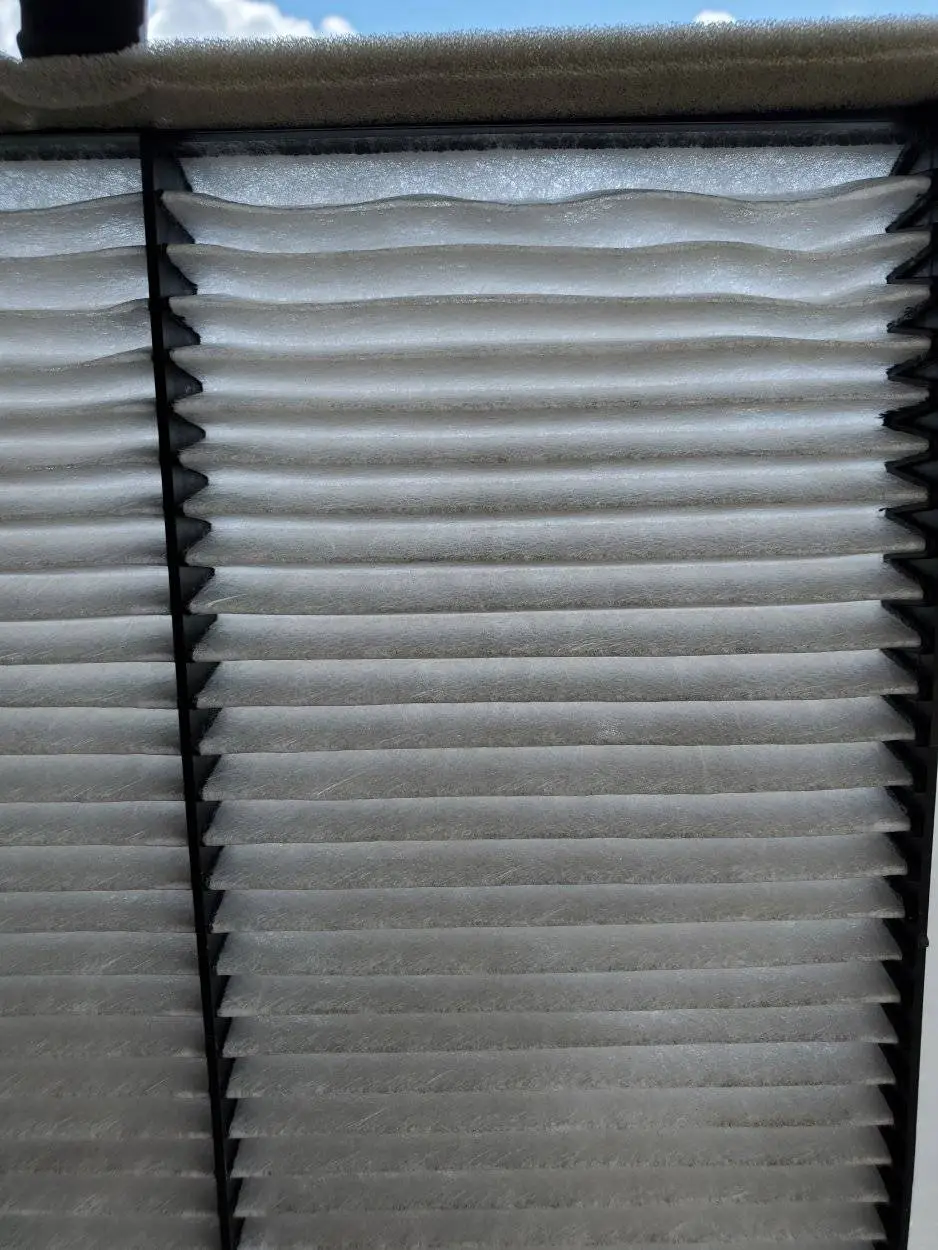 20210418_124453.jpg