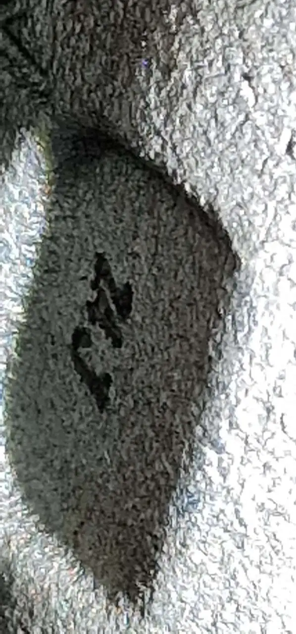 20221207_194023.jpg