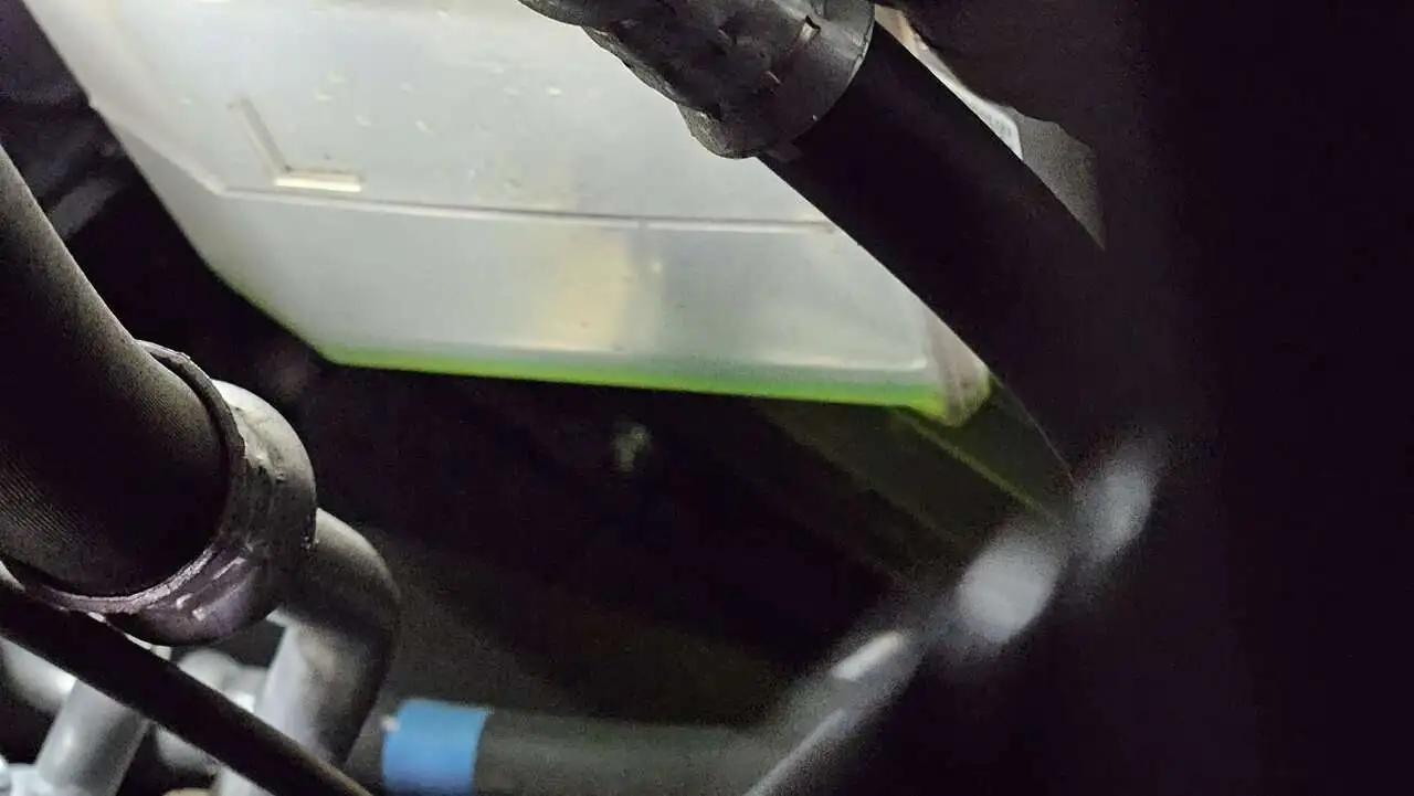 20240301_222251.jpg