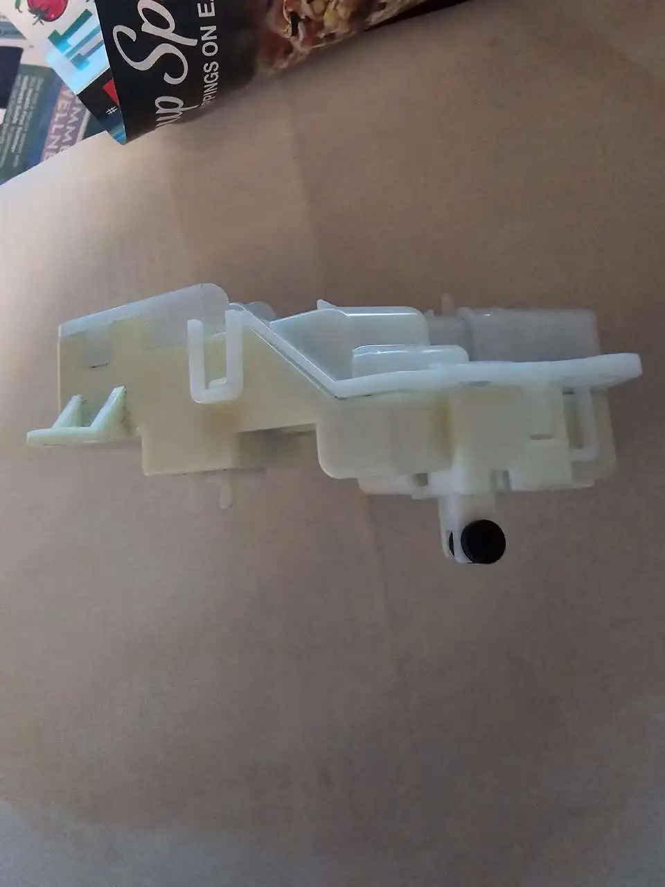 20240706_184150.jpg