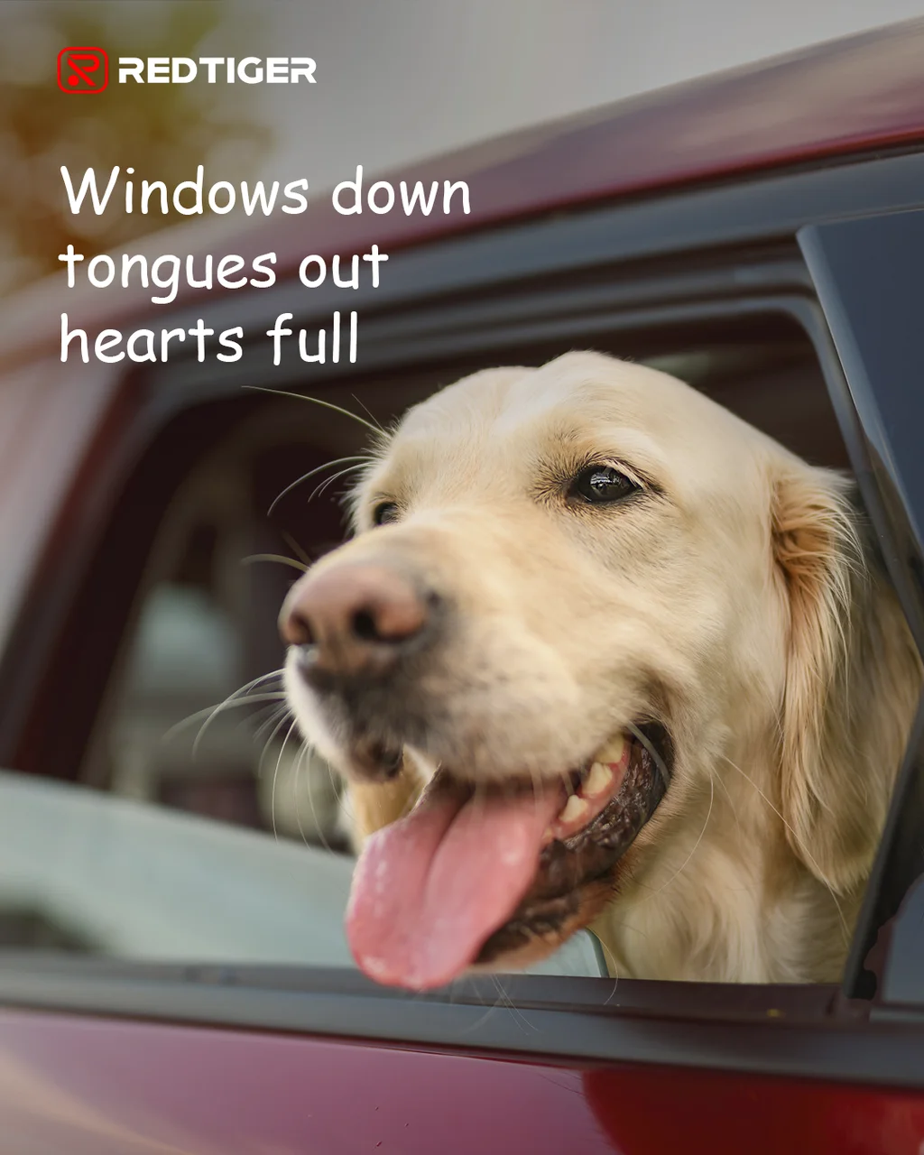 20250806-102236.webp