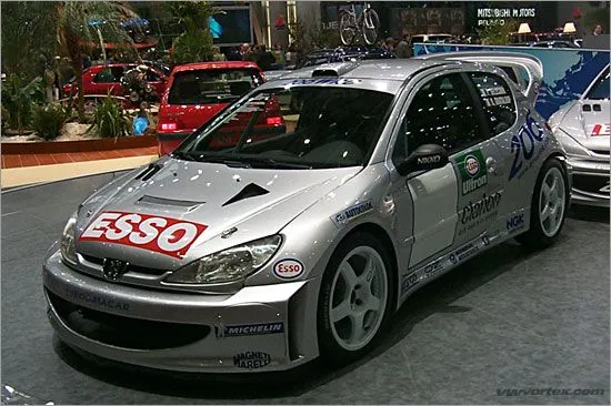 206_rally.jpg